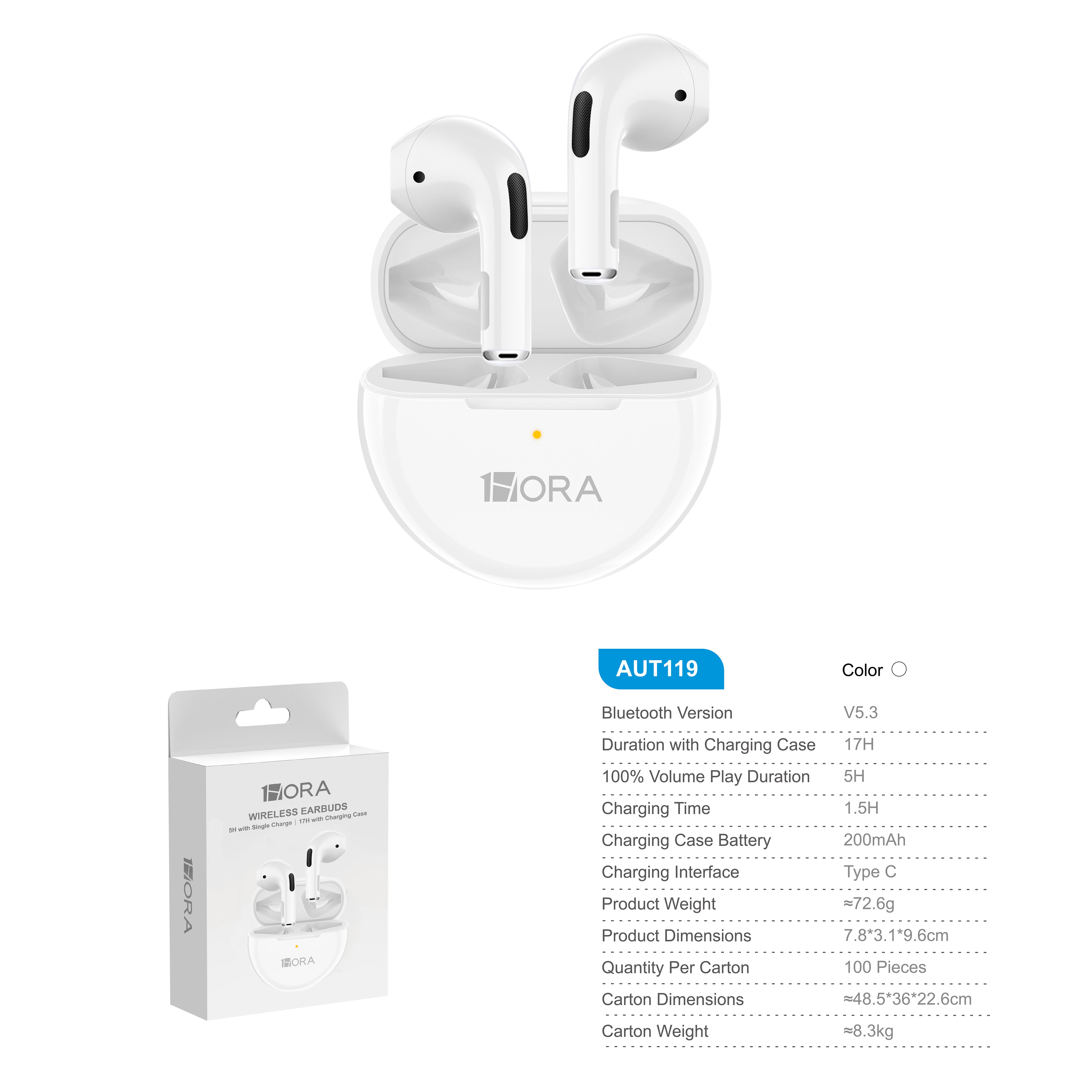 AUT119B-100 CUFFIE TYPE-C